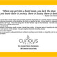 Sexual Fantasy Gift Box | Curious Yellow